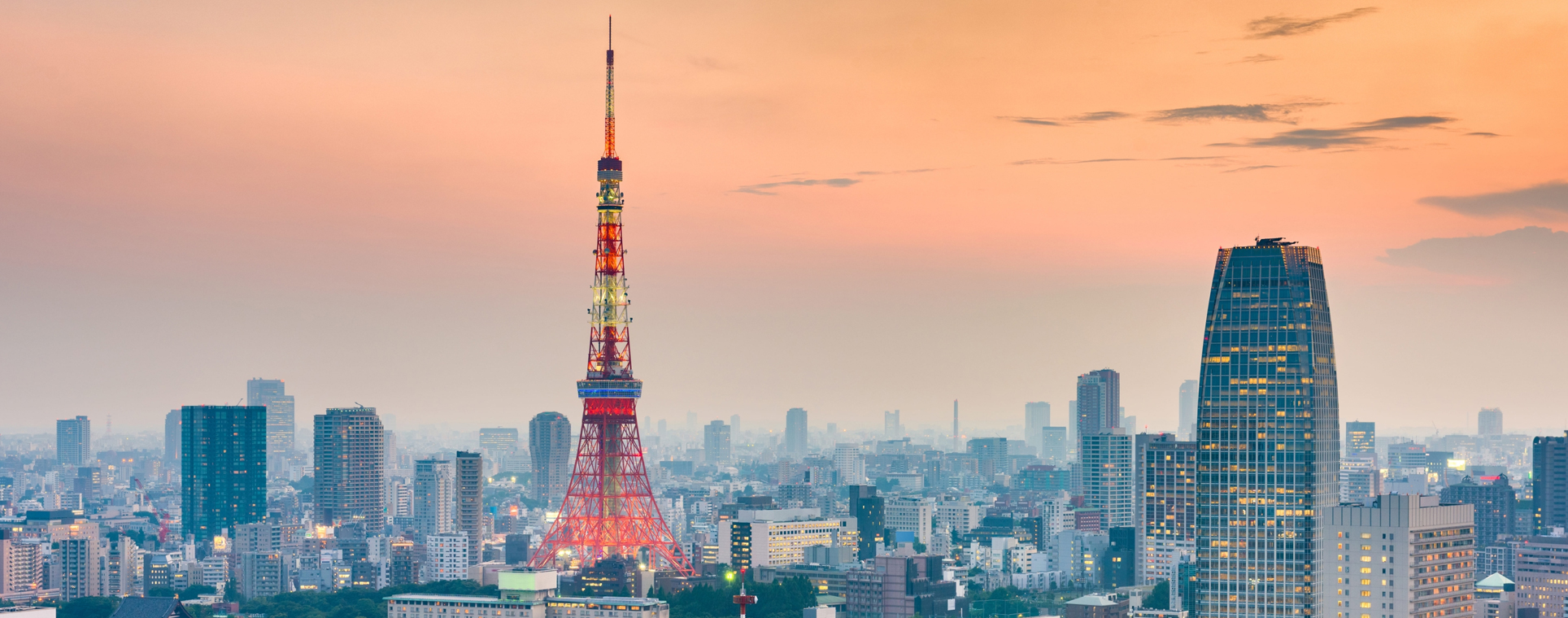 Cherry Blossom 7 Nights with 4 Cities