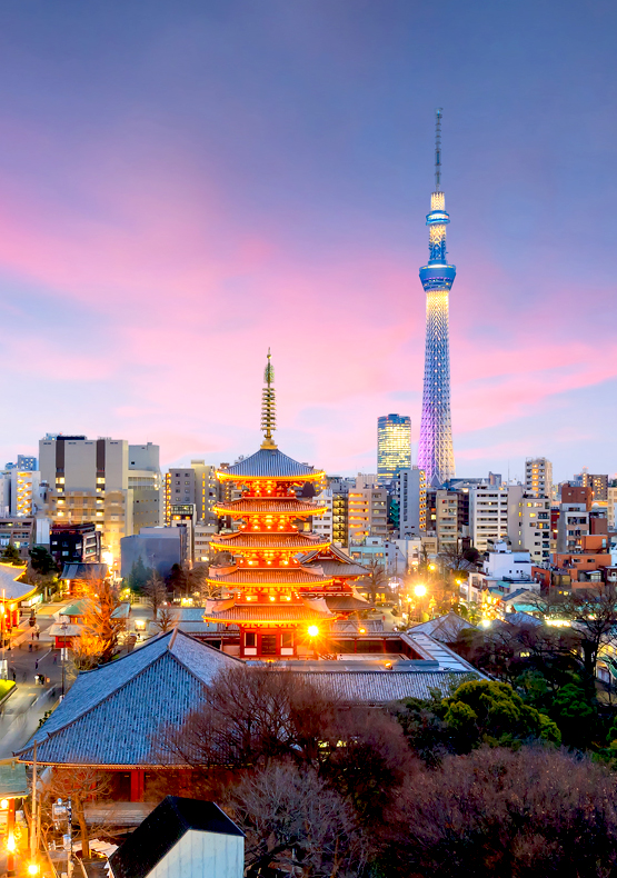 Cherry Blossom 7 Nights with 4 Cities