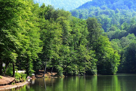 Dilijan National Park