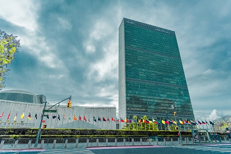 United Nations Organization