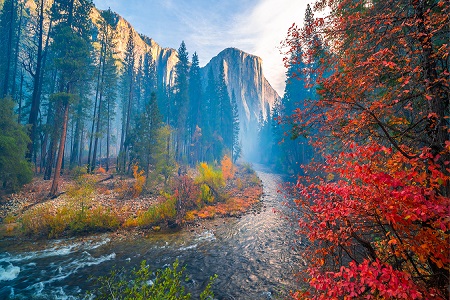 Yosemite National Park